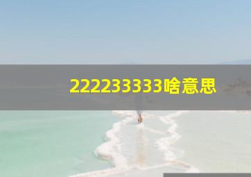 222233333啥意思