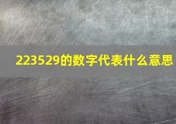 223529的数字代表什么意思