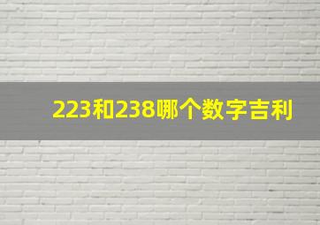 223和238哪个数字吉利