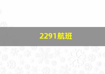 2291航班