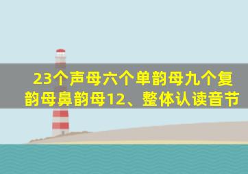 23个声母六个单韵母九个复韵母鼻韵母12、整体认读音节