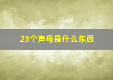 23个声母是什么东西