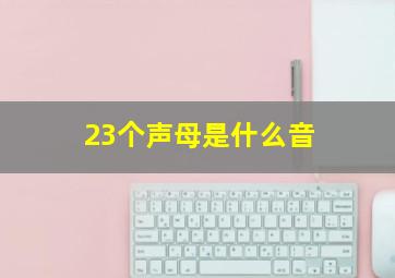 23个声母是什么音