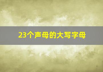 23个声母的大写字母