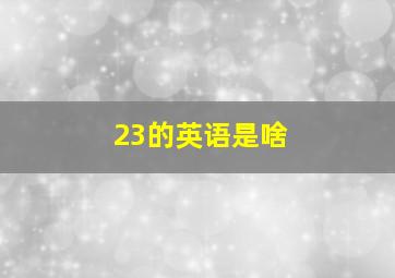 23的英语是啥