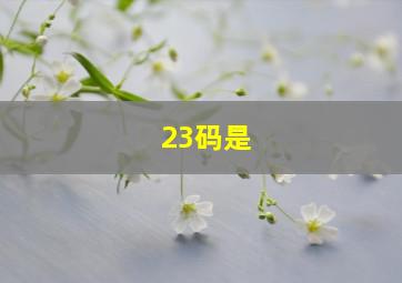 23码是