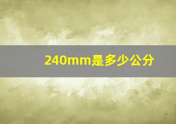 240mm是多少公分