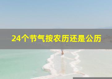 24个节气按农历还是公历