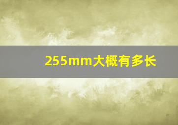 255mm大概有多长