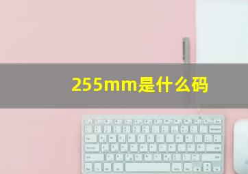 255mm是什么码