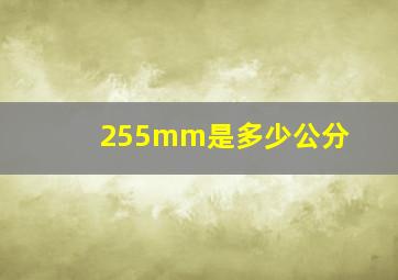 255mm是多少公分