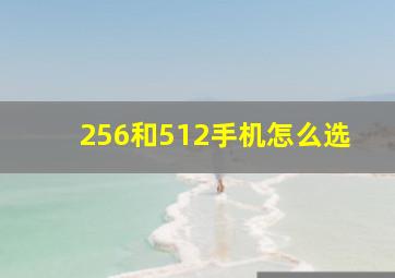 256和512手机怎么选