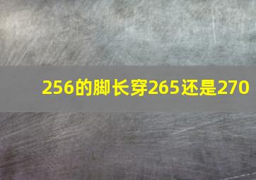 256的脚长穿265还是270