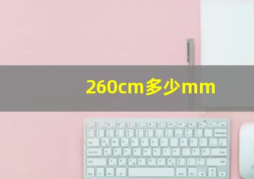 260cm多少mm