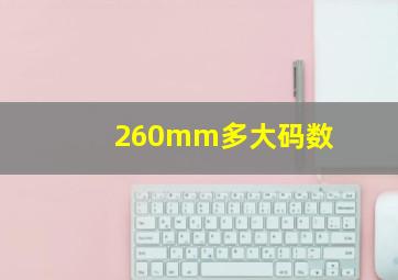 260mm多大码数