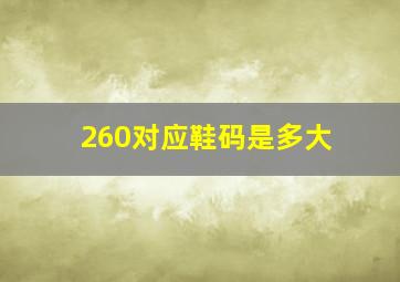 260对应鞋码是多大