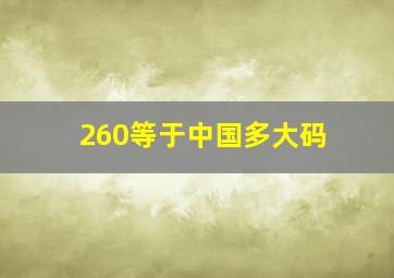 260等于中国多大码