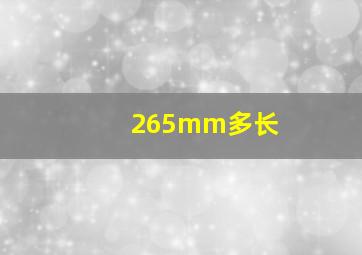 265mm多长