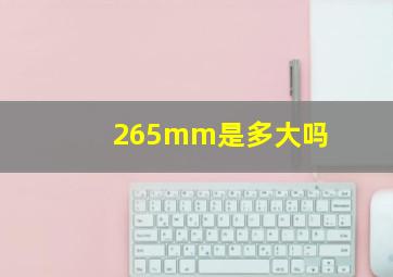 265mm是多大吗