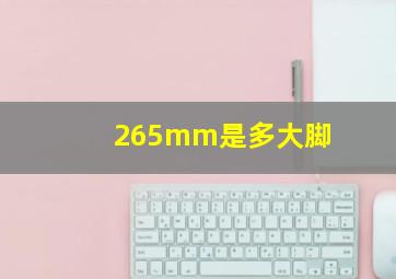 265mm是多大脚