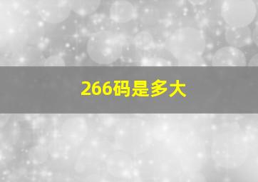 266码是多大