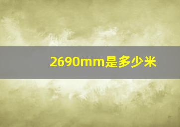 2690mm是多少米