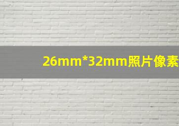 26mm*32mm照片像素