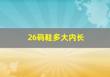 26码鞋多大内长