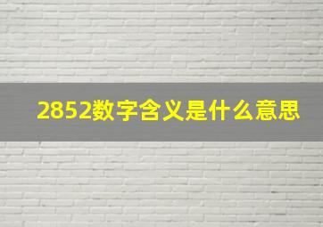 2852数字含义是什么意思