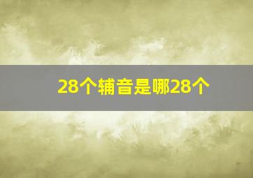 28个辅音是哪28个