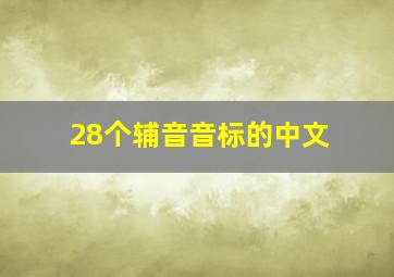 28个辅音音标的中文