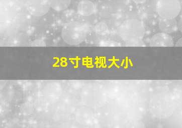 28寸电视大小