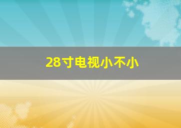 28寸电视小不小