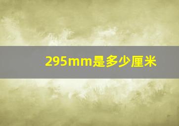 295mm是多少厘米