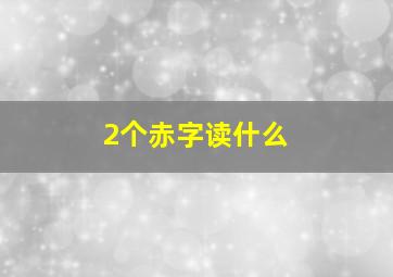 2个赤字读什么