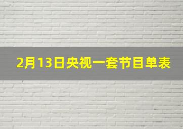 2月13日央视一套节目单表