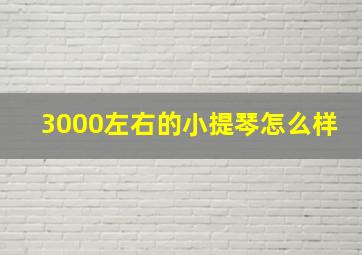 3000左右的小提琴怎么样