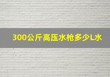 300公斤高压水枪多少L水