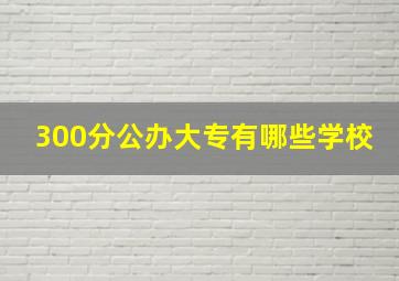 300分公办大专有哪些学校