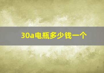 30a电瓶多少钱一个