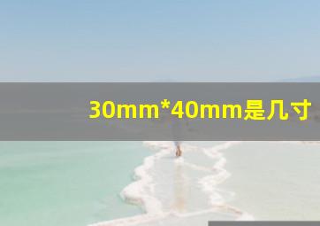 30mm*40mm是几寸