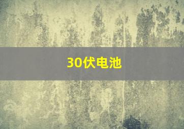 30伏电池