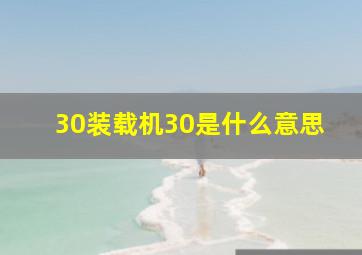 30装载机30是什么意思