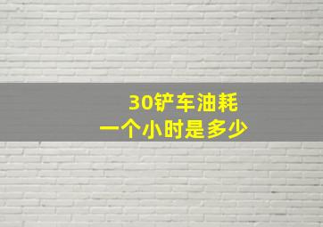 30铲车油耗一个小时是多少