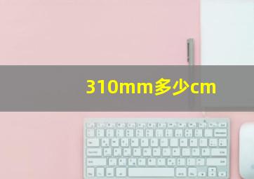 310mm多少cm