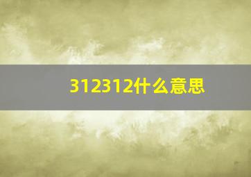 312312什么意思