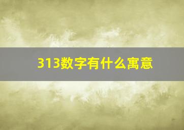 313数字有什么寓意