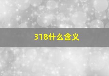 318什么含义