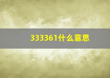 333361什么意思