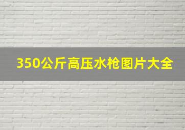 350公斤高压水枪图片大全